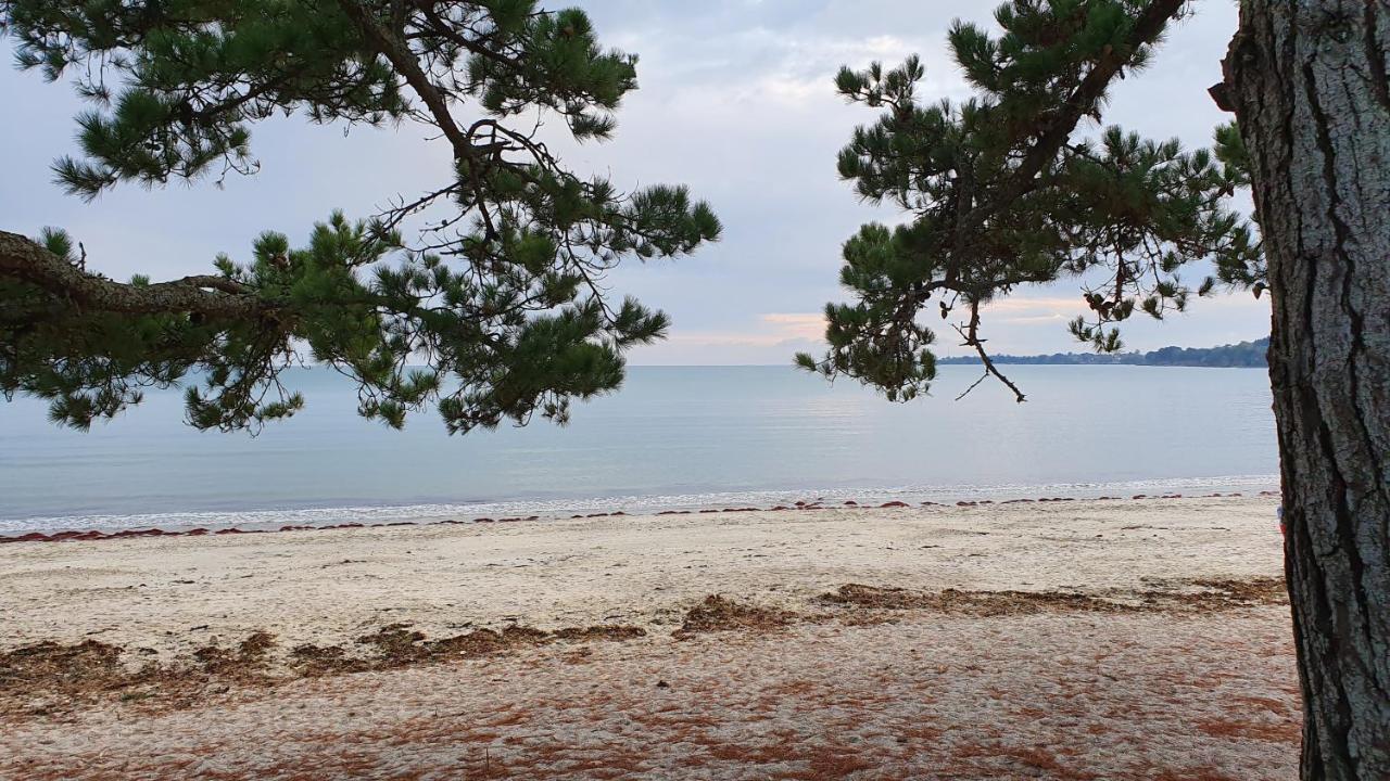 Vacances O Cap Coz - Jardin Vue Mer Et Piscine - Residence Cap Azur Фуенан Екстериор снимка